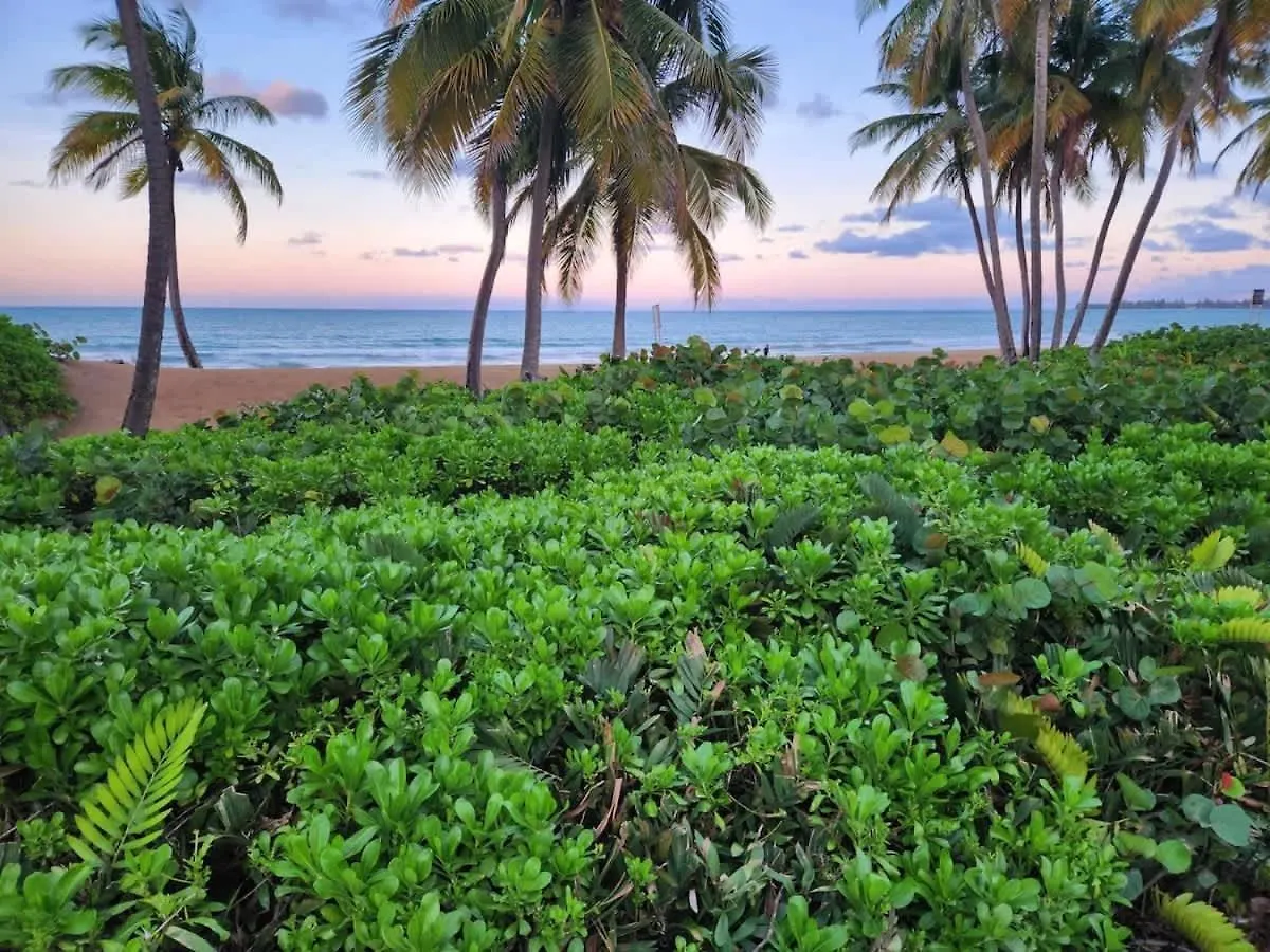Beachfront Luxury 2Br-Villa Acqua Rio Mar Carmelita Puerto Rico