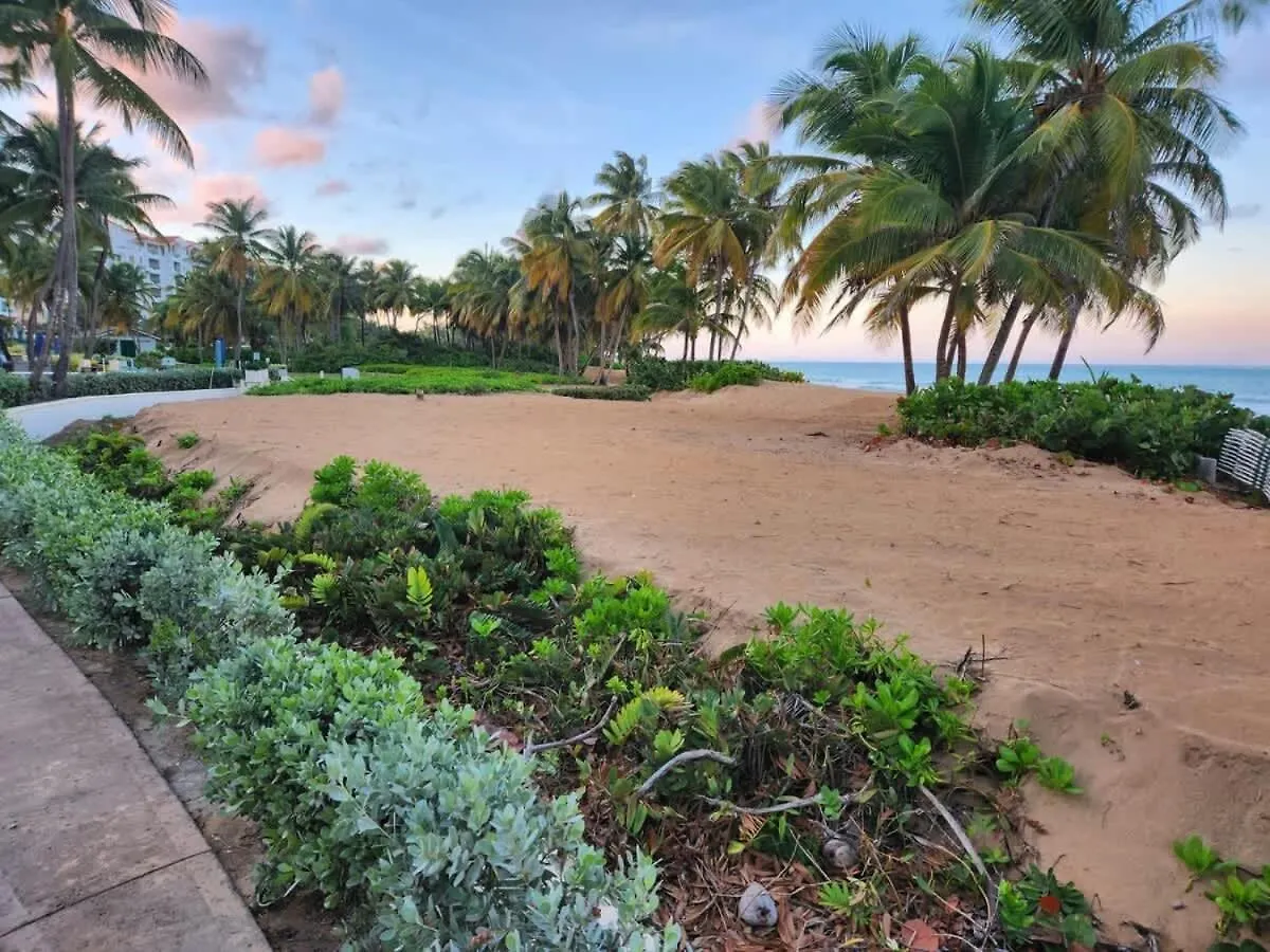 Apartment Beachfront Luxury 2Br-Villa Acqua Rio Mar Carmelita